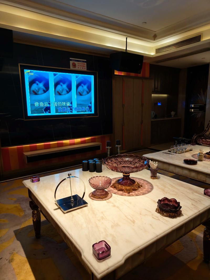 岳阳商务ktv是什么意思详解-岳阳县ktv预定